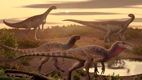 New species of dog-sized killer dinosaur that roamed Earth 220m years ago discovered – but its name isn’t too catchy