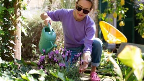 Plants don't die when you go on holiday if you use clever trick