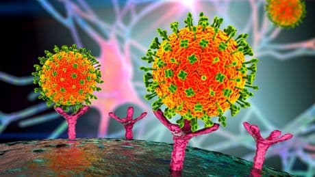 ‘Urgent concerns’ as 20 NEW ‘brain-inflaming’ bat viruses discovered in China that risk ‘highly fatal’ spillover humans