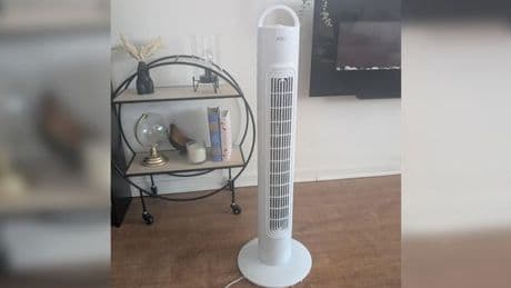 I tried a £19.99 Home Bargains fan - now I can’t live without it