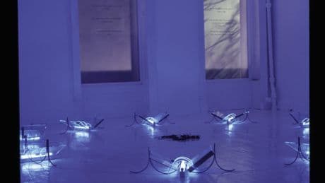 This art could kill you: the shocking genius of a 'forgotten' YBA