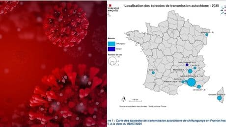 Virus Chikungunya, epidemia in Francia. L'Oms: «Rischio globale», casi anche in Italia. Sintomi, contagio e cura