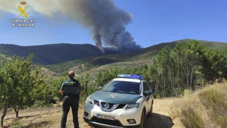 Incendios en España, en directo | Castilla y León llama "terroristas" a los que iniciaron el fuego de Ávila y denuncia la "intencionalidad máxima"