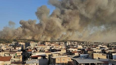 Gece boyunca müdahale devam etti: İzmir'de rüzgar alevleri taşıdı