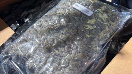 Canadian border agents trumpet major cannabis seizure at N.B. port