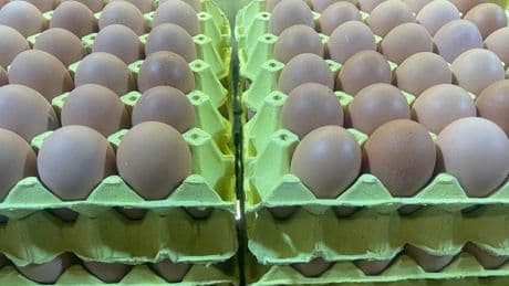 Yumurta fiyatları "mayıs çukuru" yaklaşınca düşüşe geçti