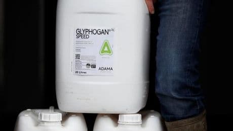 Glyphosate et cancer : un cas d’école de la « fabrique du doute »
