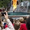 Duiker gewond bij show in Avonturenpark Hellendoorn, toeschouwers getuige