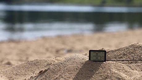 Sommerwetter: Hitze im Anmarsch: Dienstag bis zu 37 Grad in NRW