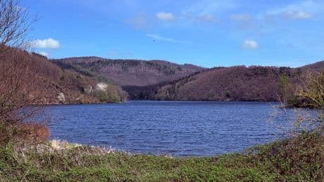 Ausflugstipp ab Köln: Klein-Kanada am Obersee in der Eifel