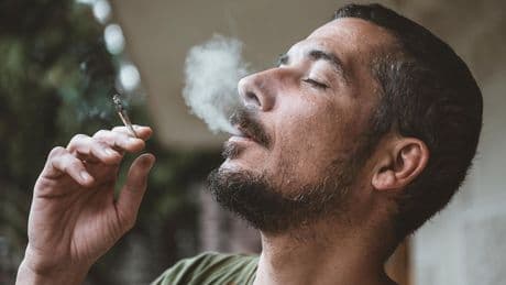 Herzgesundheit: Neue Studie über Cannabis: Kiffen kann töten