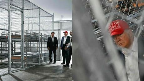 Trump inaugura "Alligator Alcatraz": la prigione per migranti tra le paludi infestate. «Per scappare dai coccodrilli? Dovranno correre a zig zag»