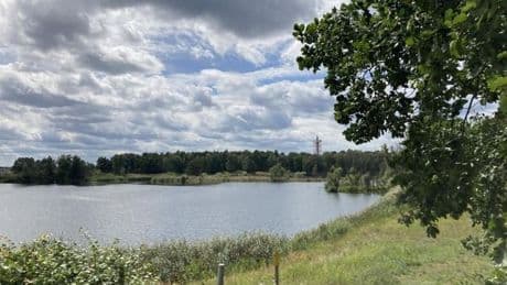 Warum ein Hundestrand am Flughafensee wenig Chancen hat
