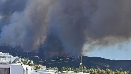 España, en llamas: miles de desalojados y parajes naturales arrasados por los incendios provocados por el calor extremo