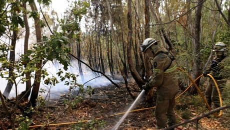 LIVE | Brandweerman omgekomen bij strijd tegen branden Portugal