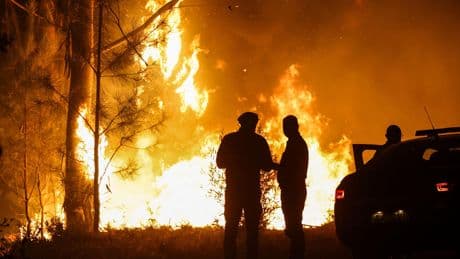 LIVE | Portugal roept alarmfase uit over hitte en bosbrandgevaar