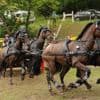 Equitation. Huit nations représentées au concours d’attelage international de Saumur