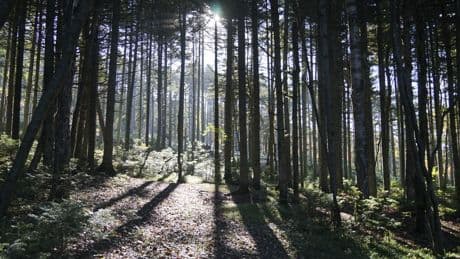 Need Earth Day optimism? Here are some environmental do-gooders in your backyard