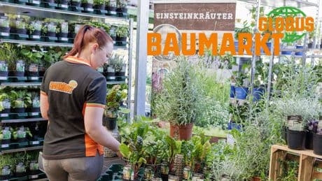 Kasse, Lager, Leitung - Das verdient man im Globus-Baumarkt