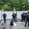 Proteste in Nürnberg: Aktivisten kleben sich wegen Pavian-Tötung vor Tiergarten fest
