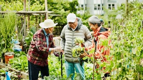 Ageing, Human Lifespans and Sustainability