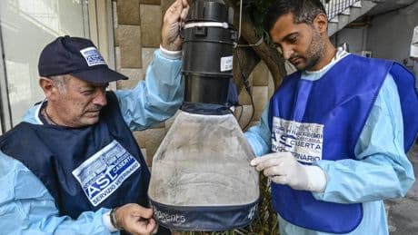 West Nile, i morti sono sette. E c'è il primo caso a Milano