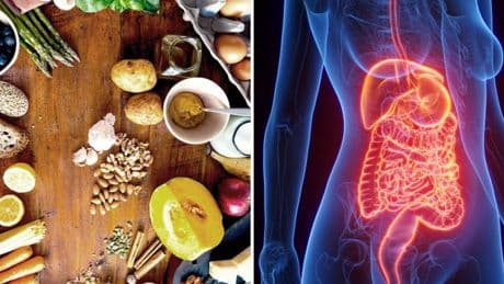 „Ernährungssünden begünstigen chronische Erkrankungen und das Altern“