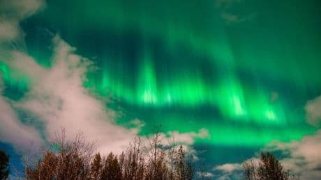 Updated Northern Lights Forecast: These 6 States Could See Aurora Borealis Tonight