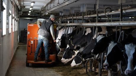 Why Canada’s supply management is a sticking point for Trump in trade talks