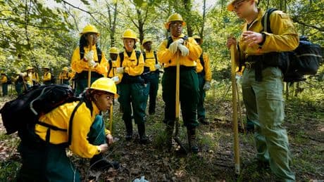 Forest and park service worker cuts leave wildland firefighting crews short-staffed