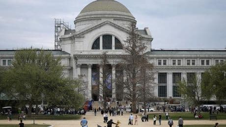 Smithsonian Institution: US-Regierung will Ausstellungspläne von Museen kontrollieren
