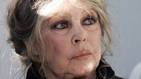 Brigitte Bardot (90) voert haar ‘laatste gevecht’: tegen de slipjacht met honden