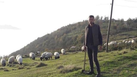 Gümüşhane'de kenenin ısırdığı çoban öldü