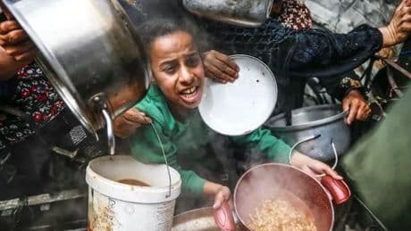 CHRIS HUGHES: 'Gaza's starving kids forced to eat animal feed and watch dogs chew dead bodies'