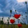 Wetter: Hitze kehrt ab Mitte der Woche zurück