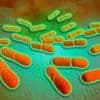 Major supermarket issues urgent 'do not eat' warning on more chicken favourites over fears of deadly listeria contamination