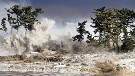 Scientists discover possible evidence of a 116-million-year-old tsunami recorded in amber