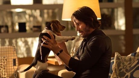 ‘John Wick’ Documentary ‘Wick Is Pain’ Coming To Streaming This Week