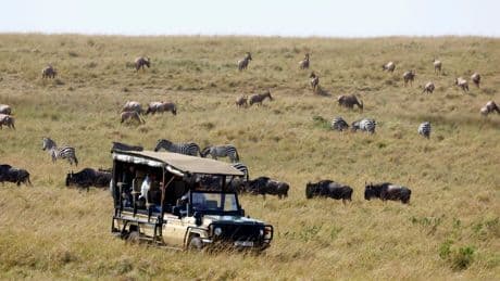 Activists battle to block first-ever Ritz-Carlton safari lodge from opening