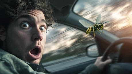 Autoclub warnt: Die 11 größten Ablenkungen beim Autofahren