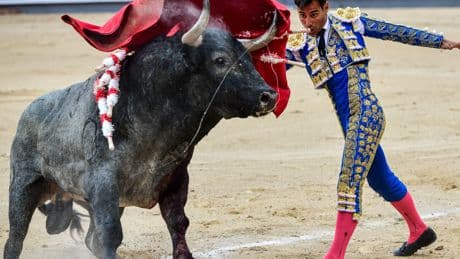 Una historia de violencia en Las Ventas: bravo héroe Del Pilar con una bestia de pedernal