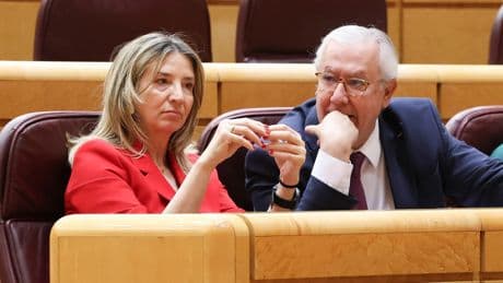 El Senado aprobará una ley para impedir que etarras vayan en listas electorales y prohibir los recibimientos a terroristas