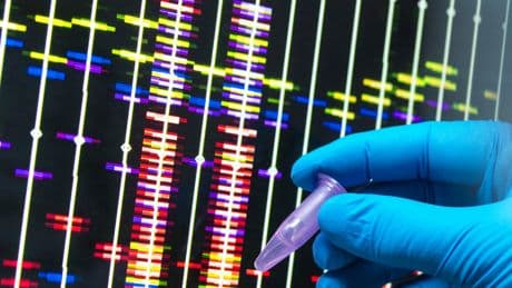 Obesity Prediction Could Be Guided by Genetic Risk Scores