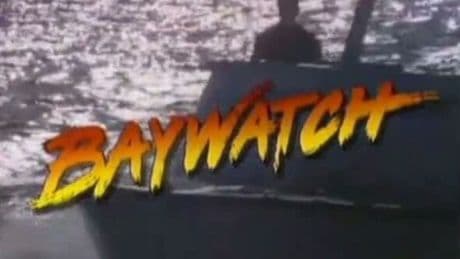 Paul Nichols dead: Baywatch legend dies just days after beloved wife