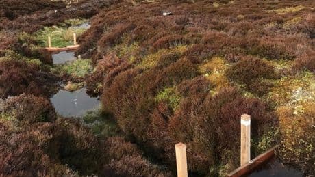 Water of life? Whisky giant turns to science amid historic dry spell