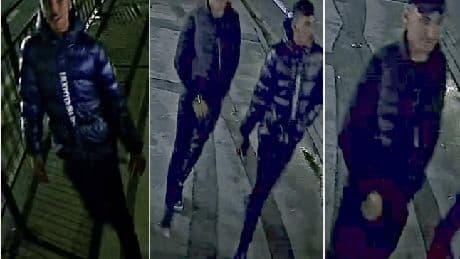 Manhunt launched after woman raped in Humberside flat