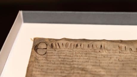Harvard thought it had a cheap copy of the Magna Carta. It turned out be extremely rare