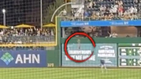 Fan who fell more than 20 feet during Pirates game reflects on harrowing incident: ‘Don’t know how I’m alive’