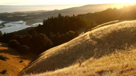 Contributor: 'Summer is ended, and we are not saved.' We're not defeated, either