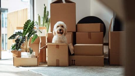 Why moving home is a bigger deal than you think – and how to survive it